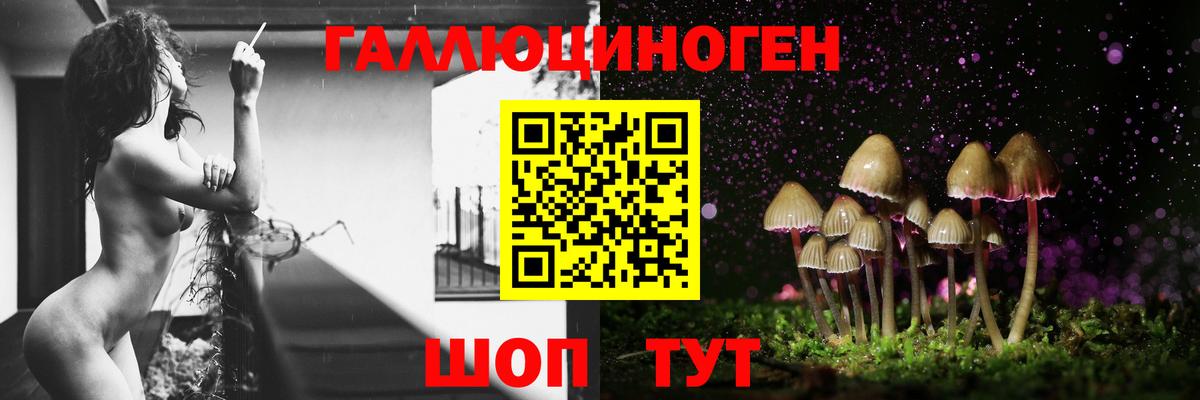 Псилоцибиновые грибы Psilocybine cubensis  Псилоцибиновые грибы мицелий  Кувандык  Вход с VPN 